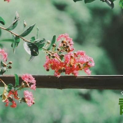 皇冠APP官方版下载安装手机app下载